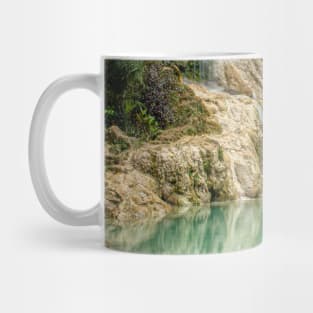 Rainforest waterfall with green lake Mug